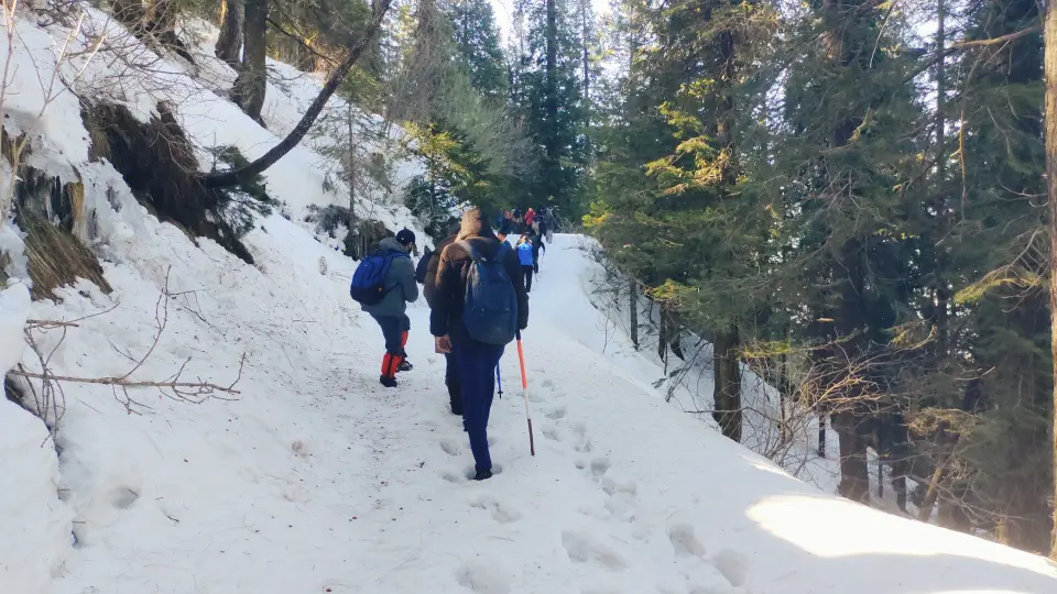 Barmi Gali to Beeran Gali Snow Trek: RHCP hike photo 3 of 18