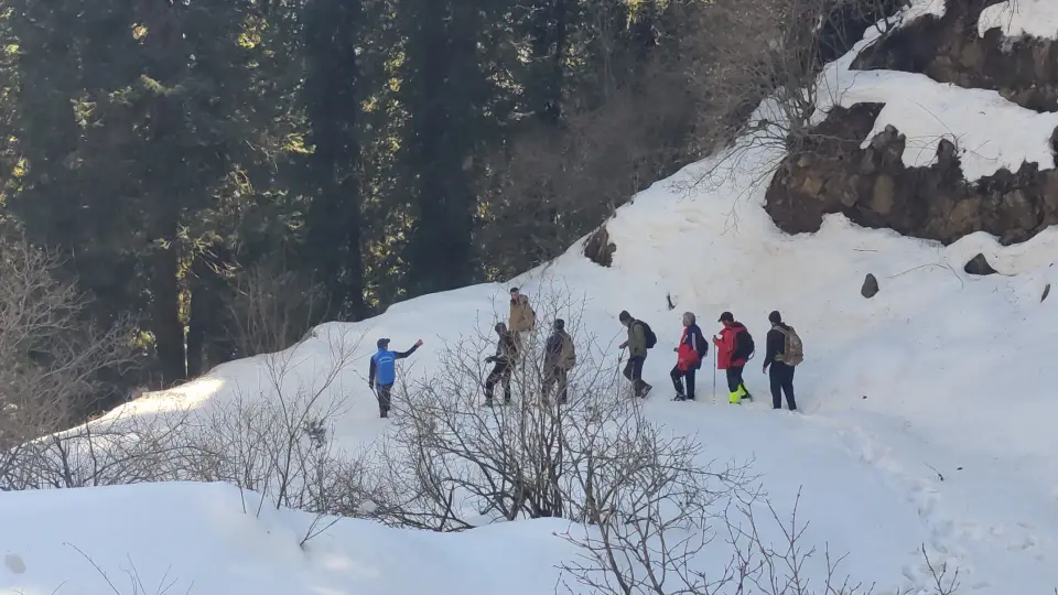 Barmi Gali to Beeran Gali Snow Trek: RHCP hike photo 8 of 18