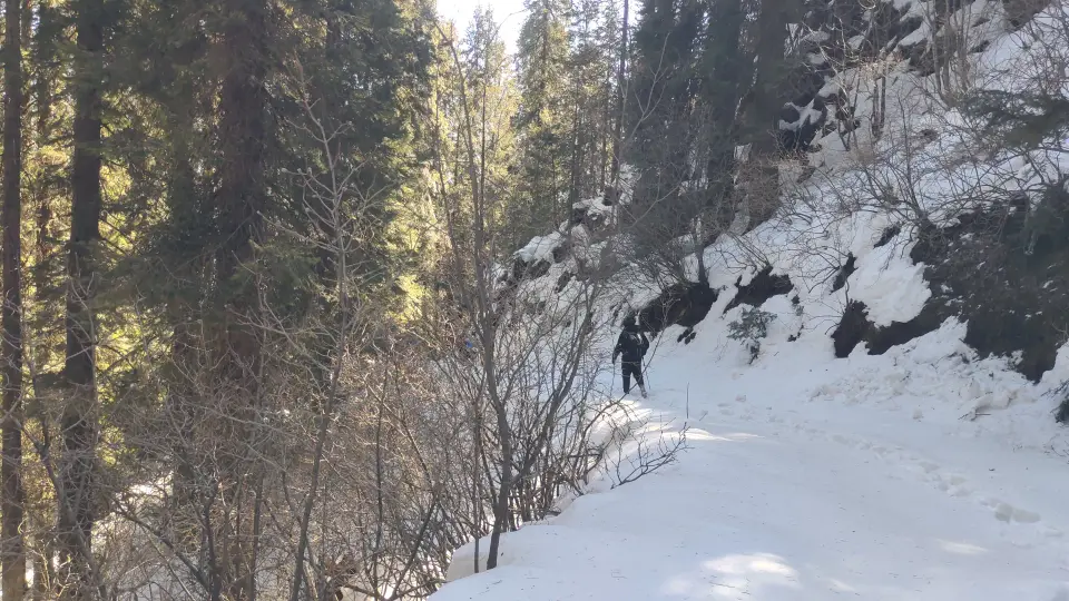 Barmi Gali to Beeran Gali Snow Trek: RHCP hike photo 9 of 18