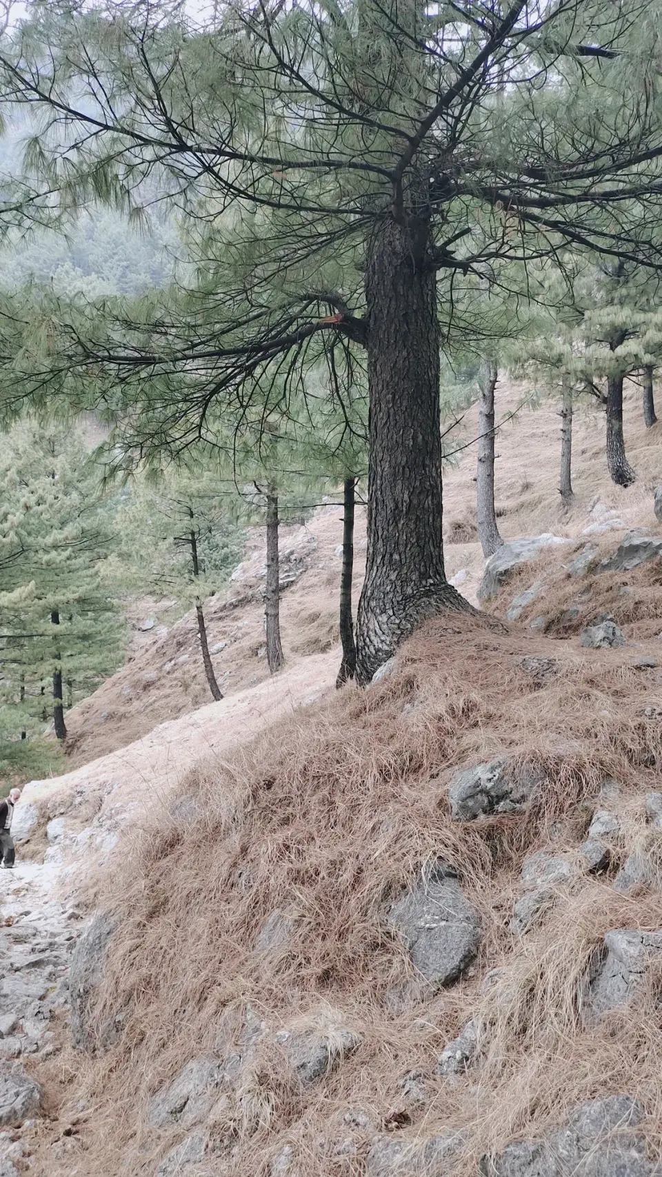 Mandroch Kalan to Kala Pani: RHCP hike photo 8 of 18