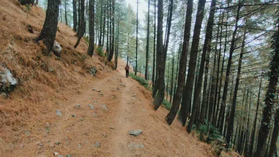 Mandroch Kalan to Kala Pani: RHCP hike photo 13 of 18