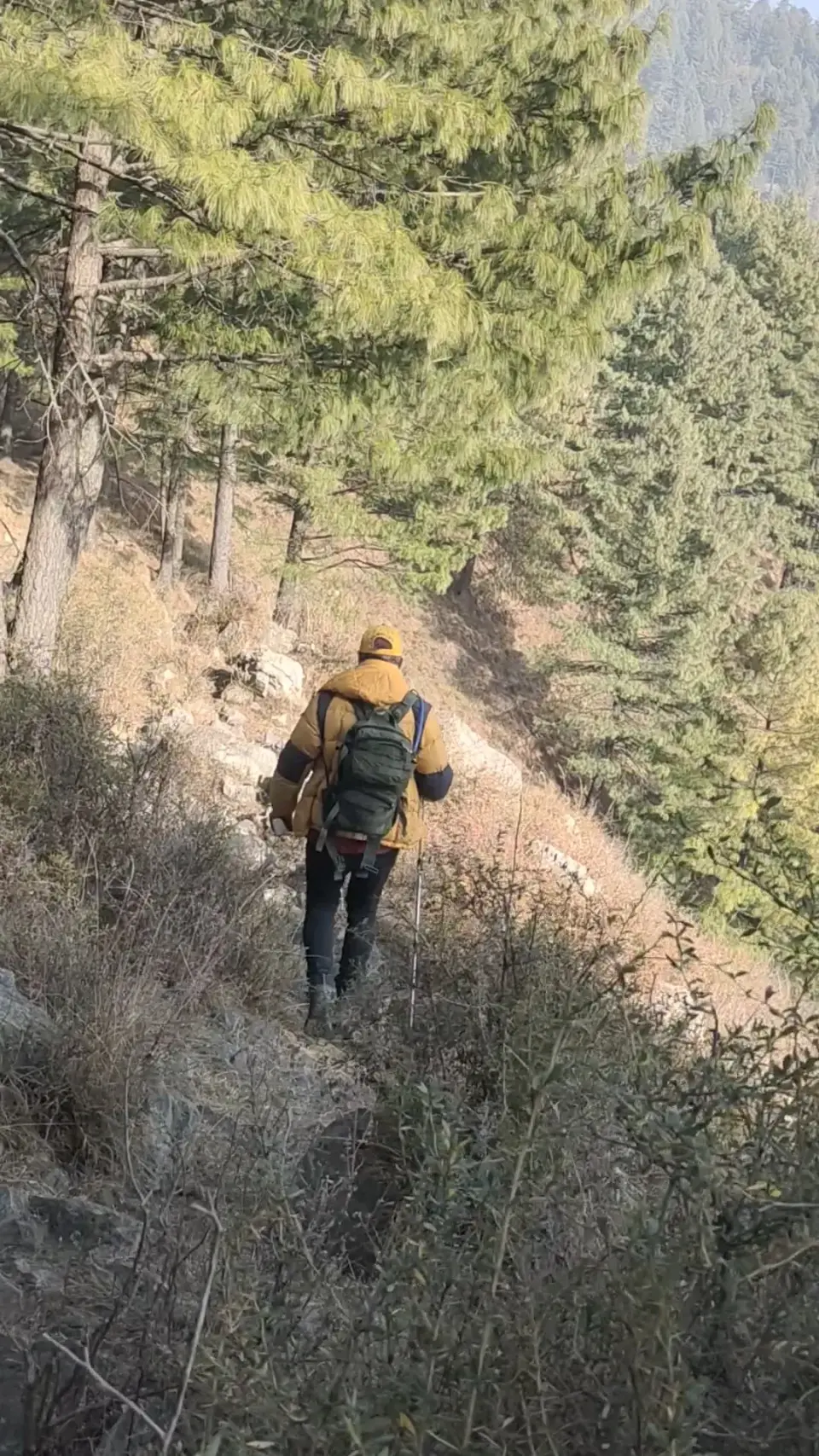 Kakul Reshiyan to Kala Pani: RHCP hike photo 16 of 18