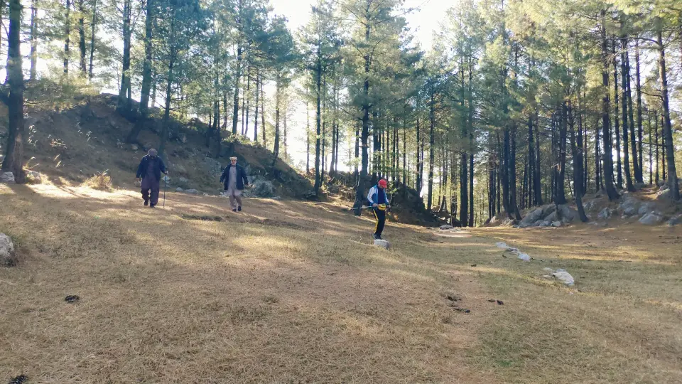 Sabal Forest to Beeran Gali: RHCP hike photo 5 of 18
