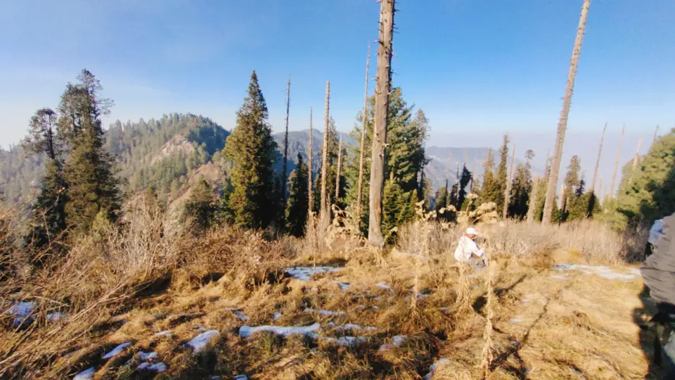 Sabal Forest to Beeran Gali: RHCP hike photo 15 of 18