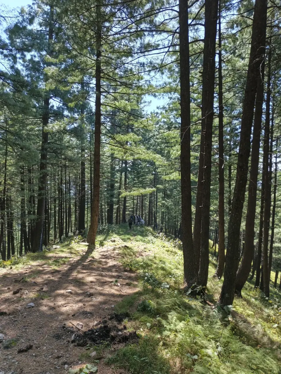 Kakul Hike via Laida: RHCP hike photo 18 of 18