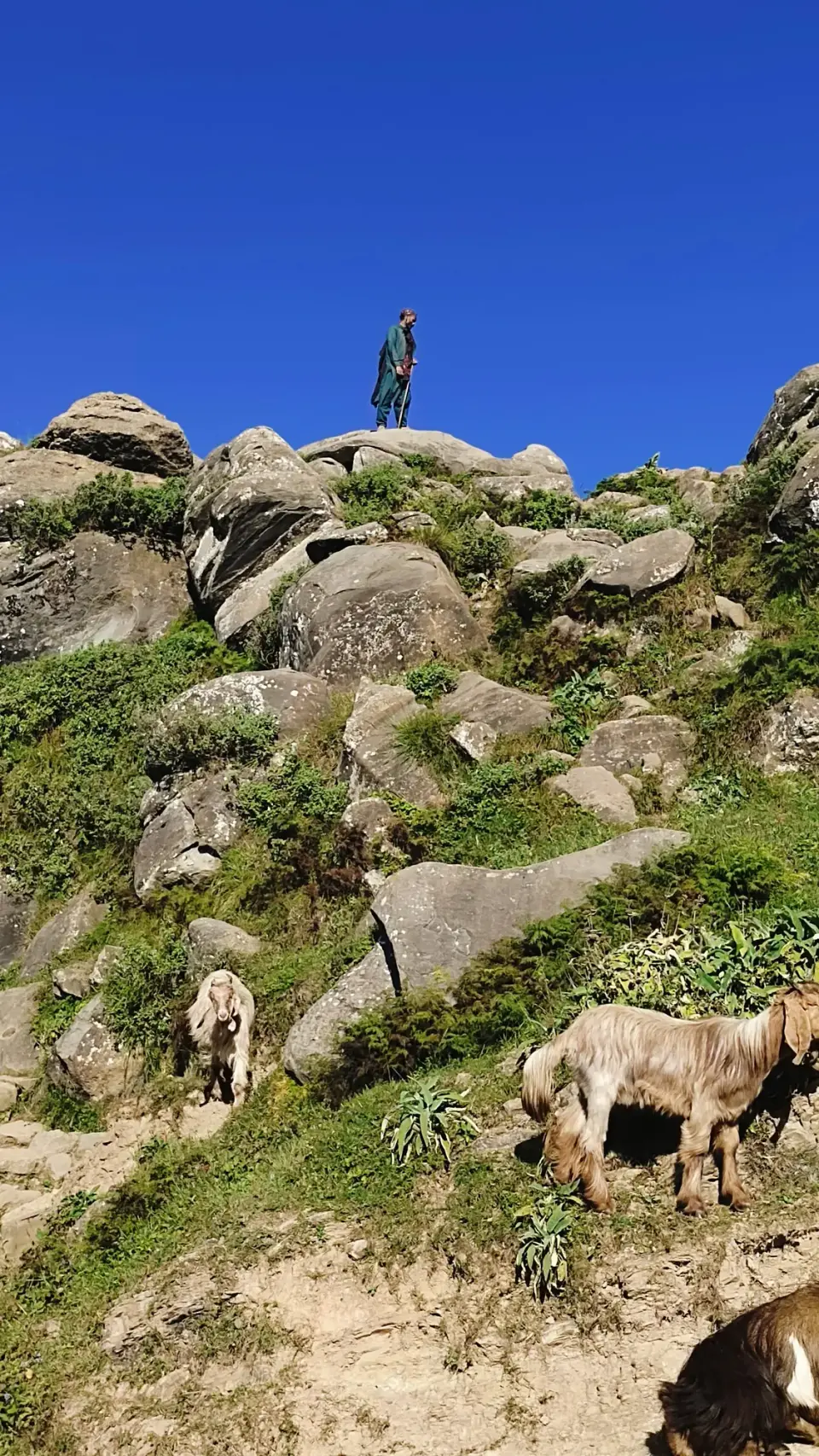 Nanga Pir and Ganga Choti: RHCP hike photo 9 of 18