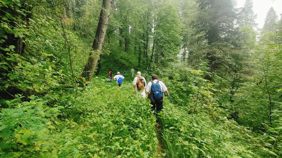 Thandiani (Barmi Gali) to Jhafar: RHCP hike photo 1 of 18