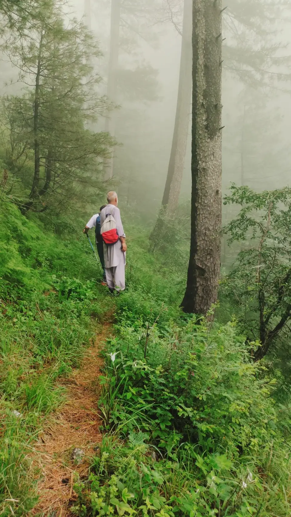 Thandiani (Barmi Gali) to Jhafar: RHCP hike photo 12 of 18