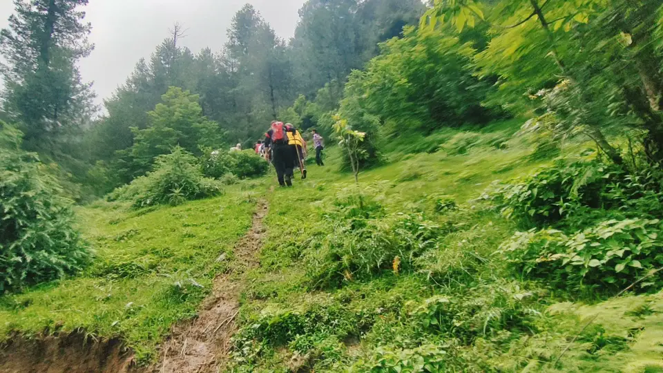 Barmi Gali to Jhafar: RHCP hike photo 2 of 18
