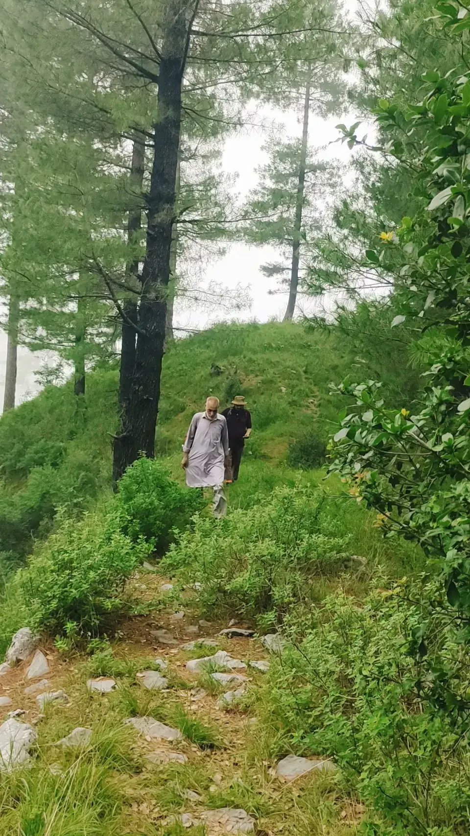 Barmi Gali to Jhafar: RHCP hike photo 11 of 18