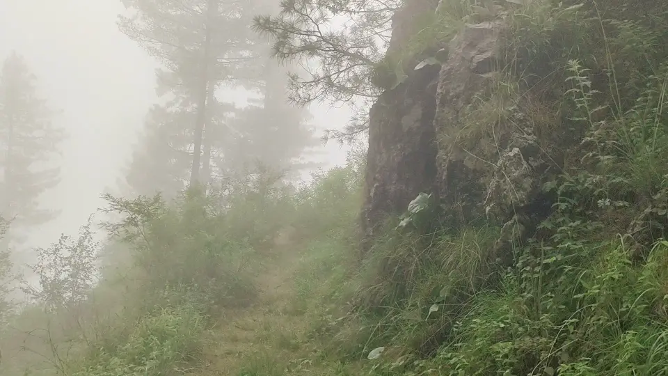 Barmi Gali to Jhafar: RHCP hike photo 12 of 18