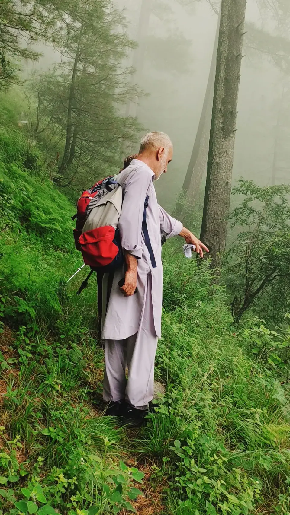 Barmi Gali to Jhafar: RHCP hike photo 13 of 18