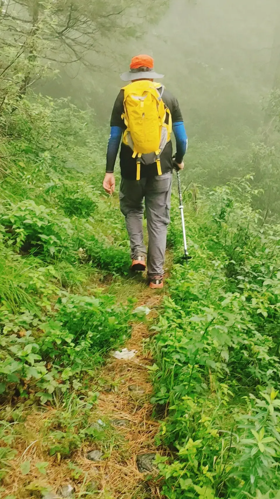 Barmi Gali to Jhafar: RHCP hike photo 14 of 18