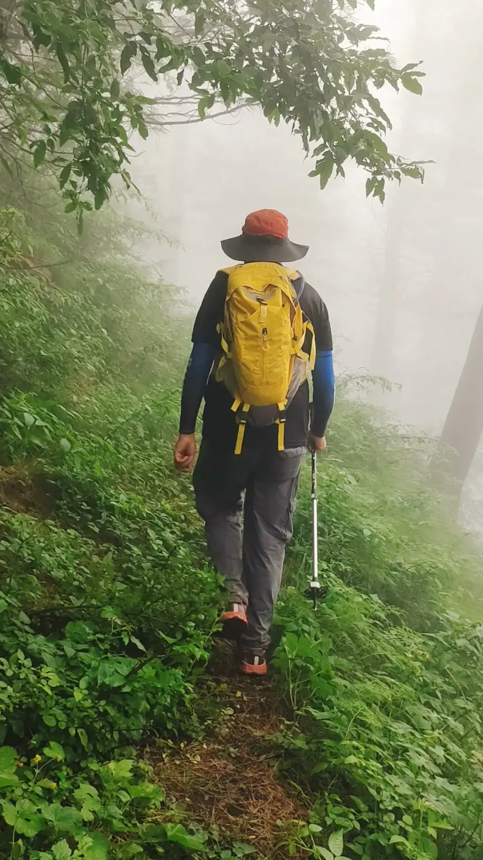Barmi Gali to Jhafar: RHCP hike photo 15 of 18