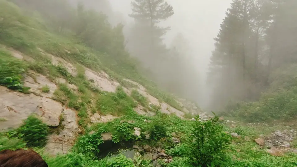 Barmi Gali to Jhafar: RHCP hike photo 16 of 18