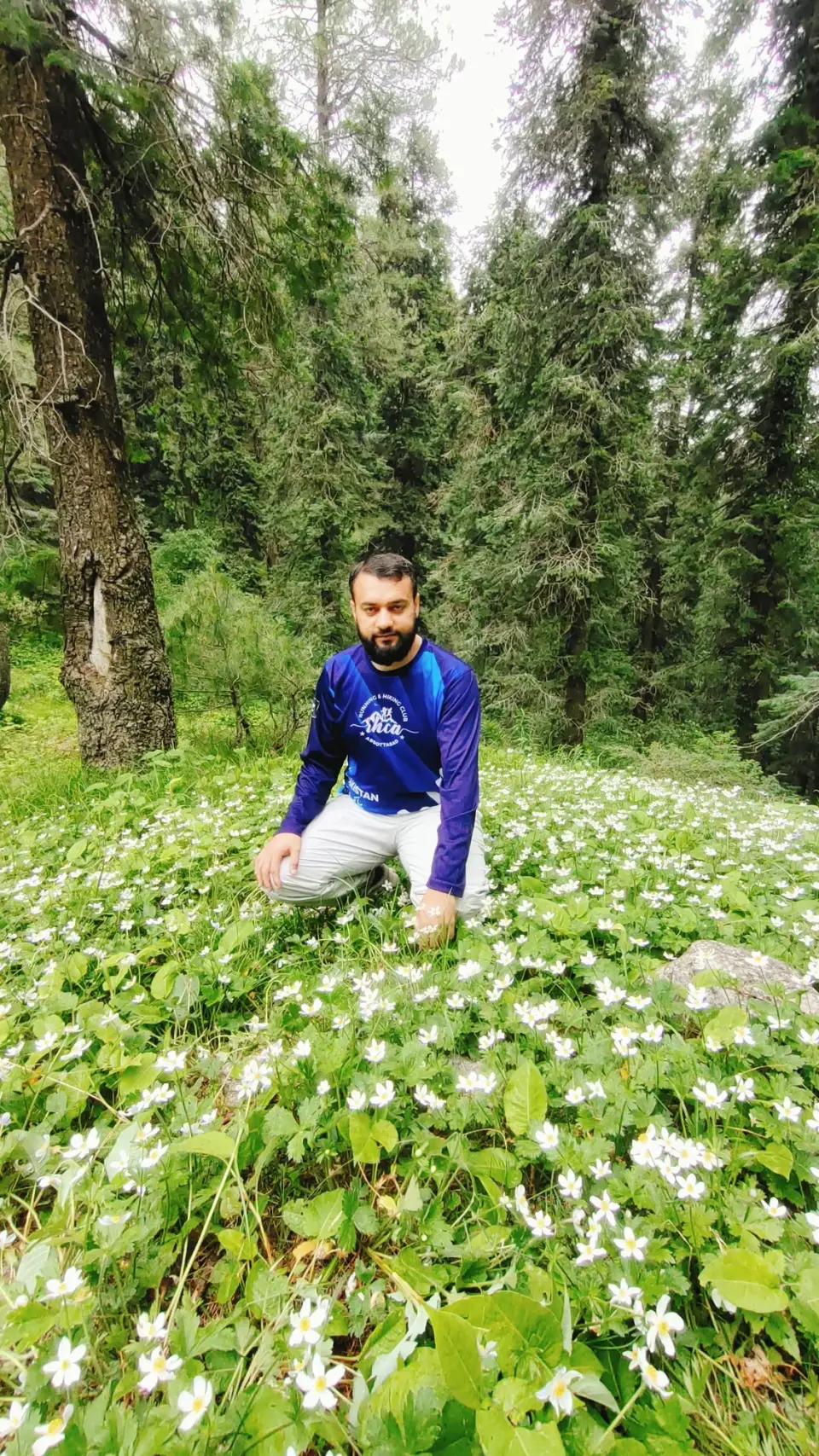 Thandiani to Nathia Gali: RHCP hike photo 3 of 18