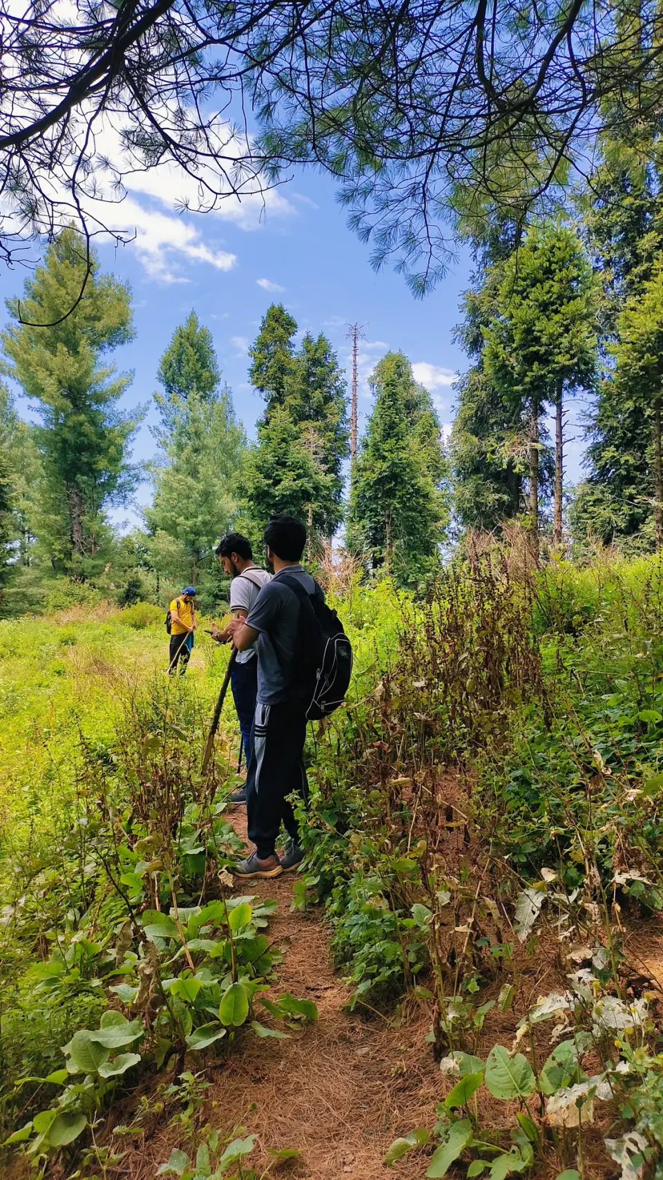 Thandiani to Nathia Gali: RHCP hike photo 10 of 18