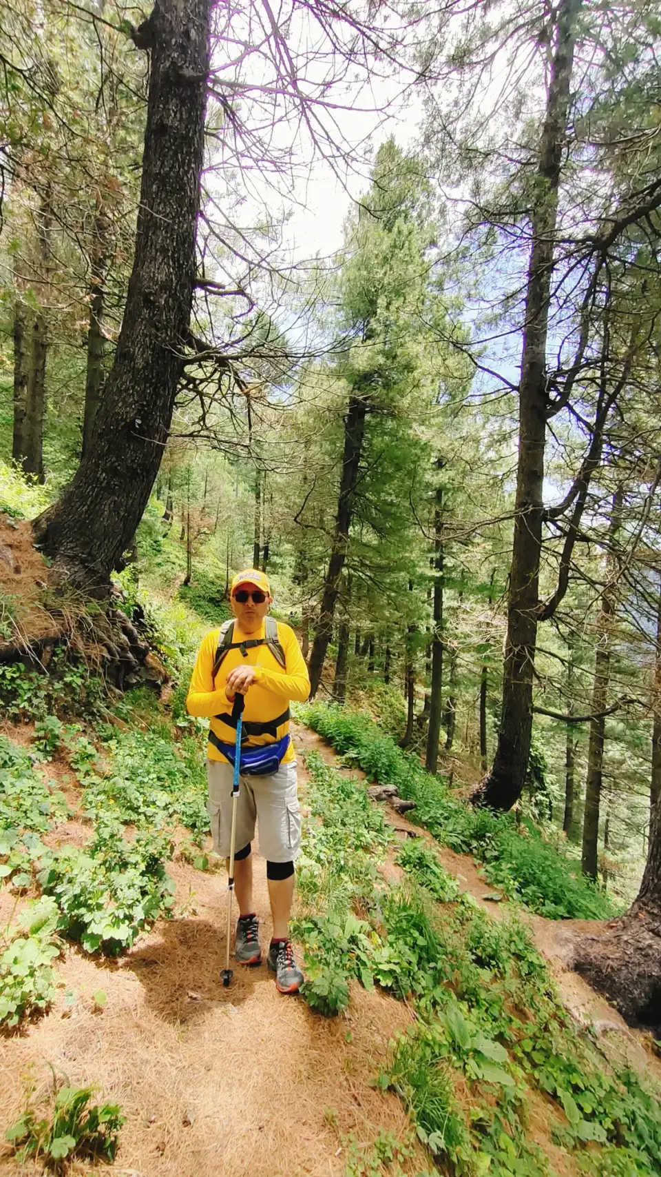Thandiani to Nathia Gali: RHCP hike photo 11 of 18