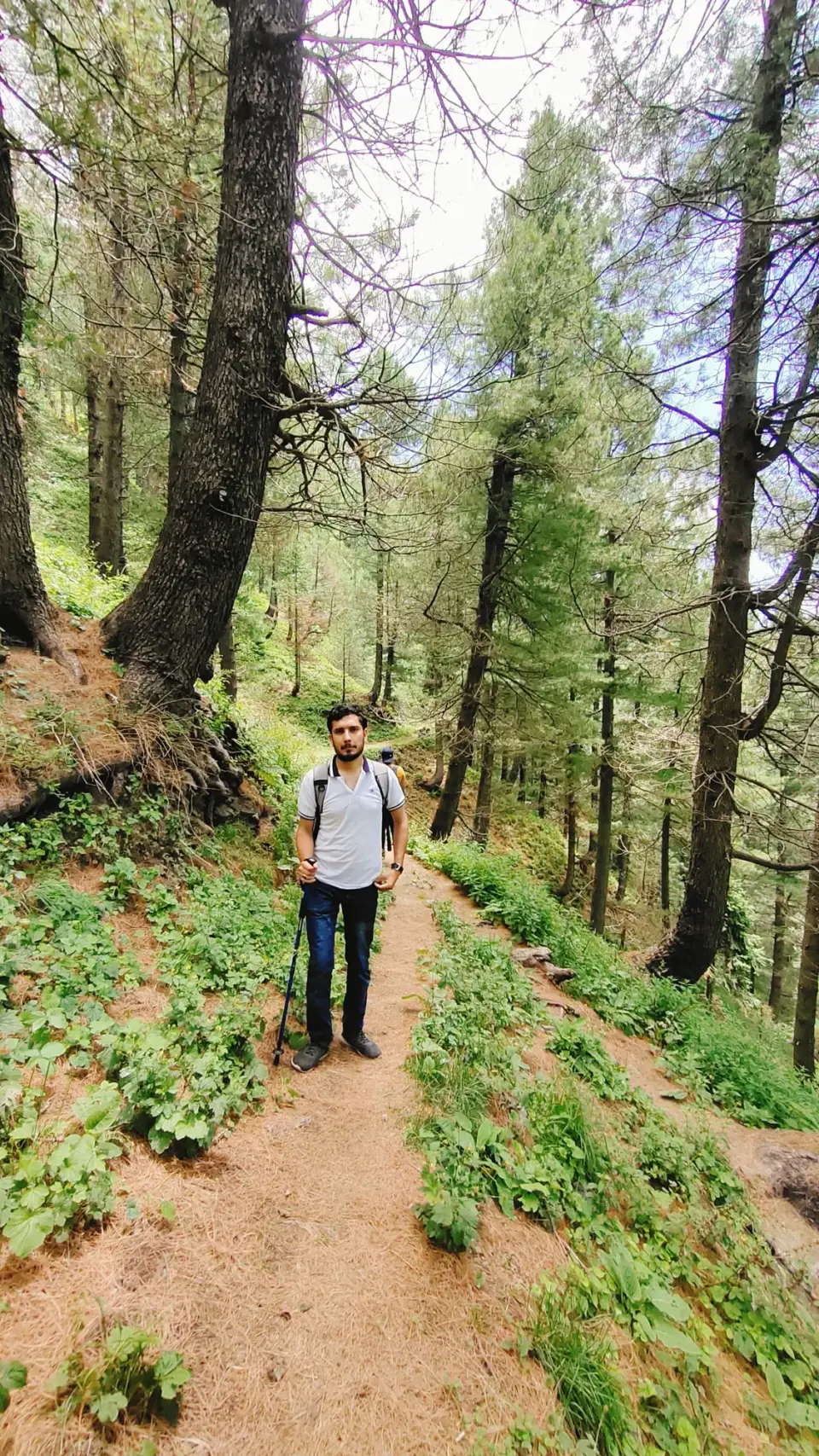 Thandiani to Nathia Gali: RHCP hike photo 12 of 18
