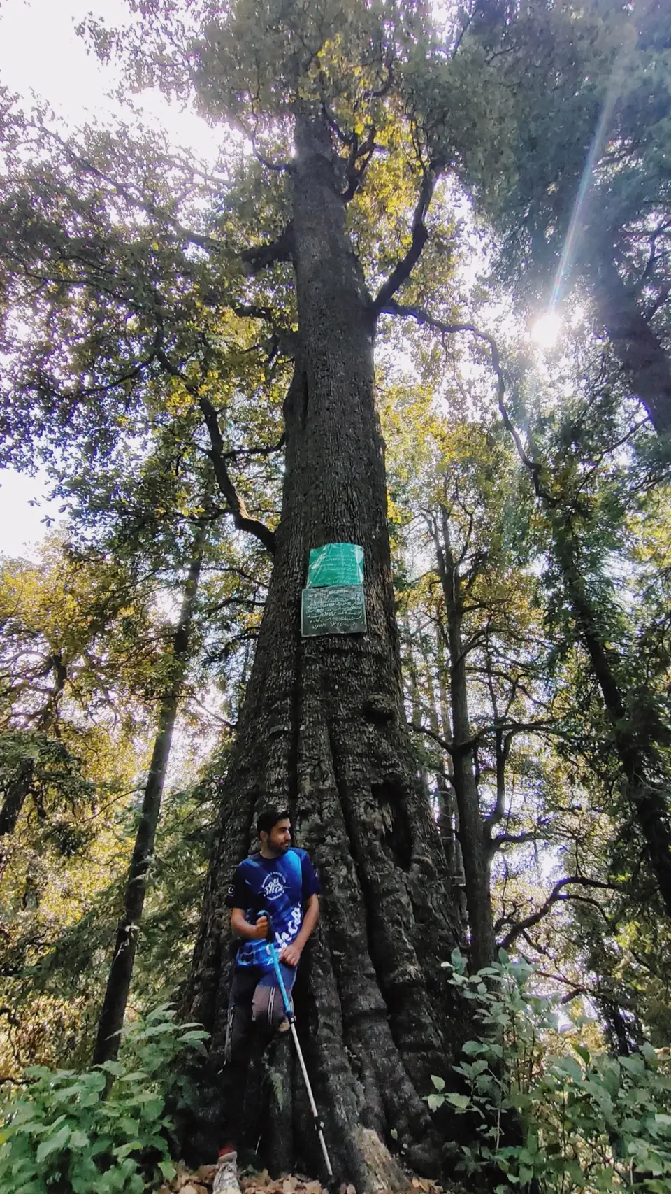 Thandiani to Nathia Gali: RHCP hike photo 15 of 18