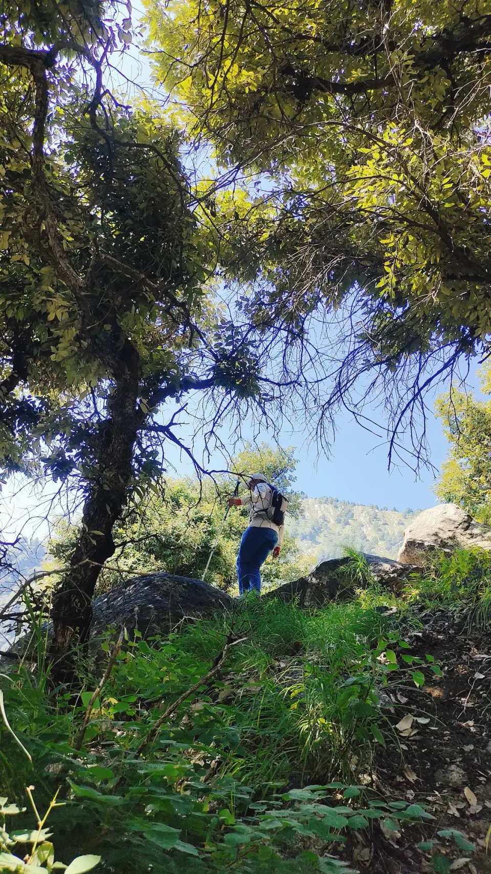 Serri Top, Koh-e-Bhingra: RHCP hike photo 6 of 18